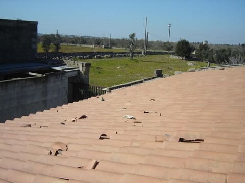 Photo of the lot 4
