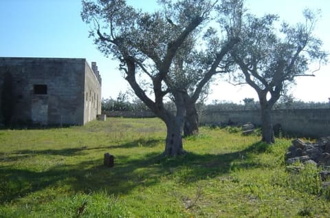 Photo of the lot 5