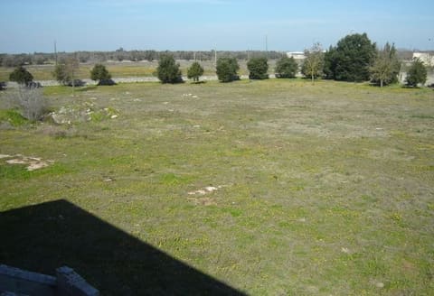 Photo of the lot 6