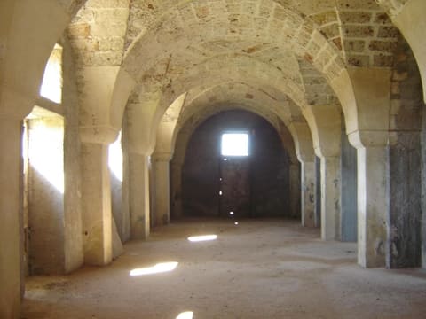 Photo of the lot 7
