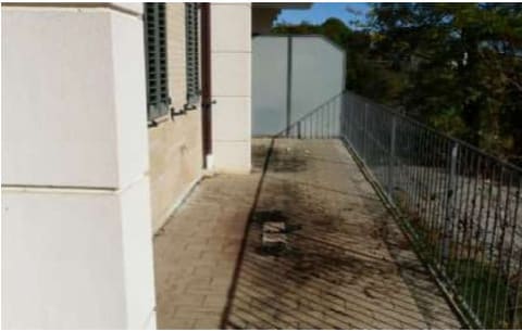 Photo of the lot 3