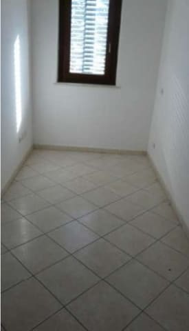 Photo of the lot 6