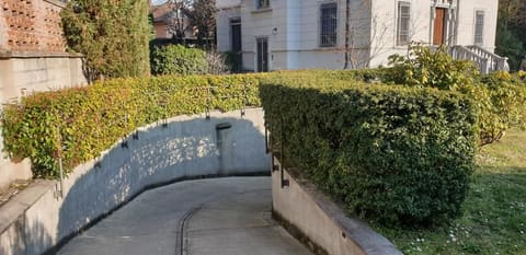 Photo of the lot 4