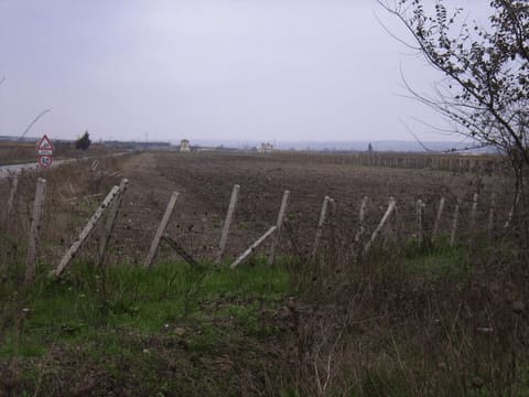 Photo: Land in San Severo (FG)