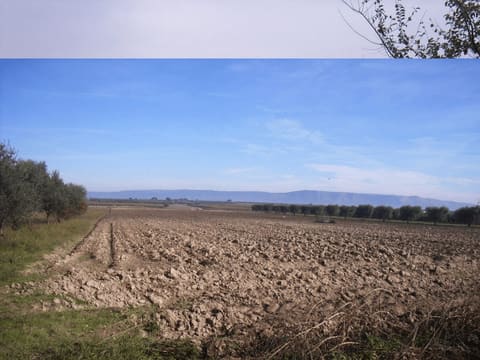 Photo: Land in San Severo (FG)