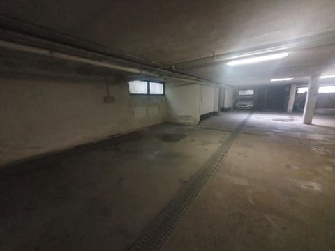 Photo of the lot 3