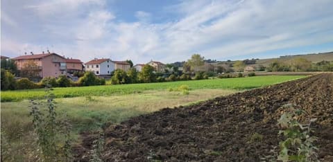 Photo: Land in Mondolfo (PU)