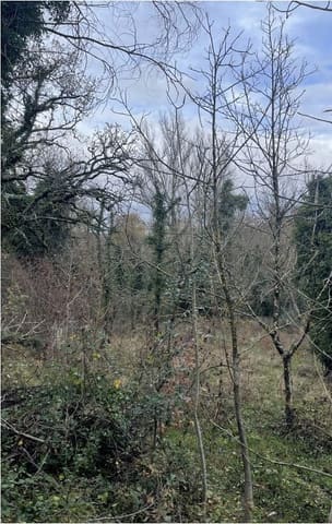 Photo: Altra categoria in Città della Pieve (PG)