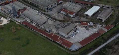 Photo of the lot 3