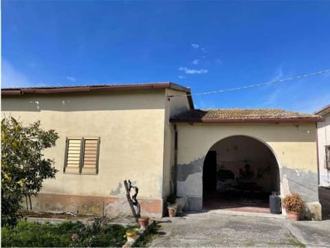 Photo of the lot 1