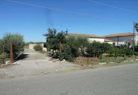 Photo of the lot 2