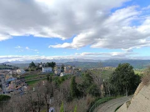 Foto del lotto 8