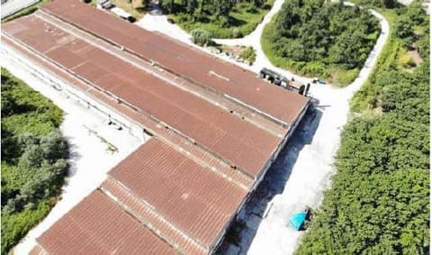 Photo of the lot 3