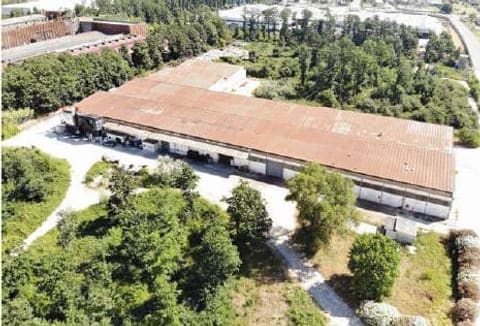 Photo of the lot 4