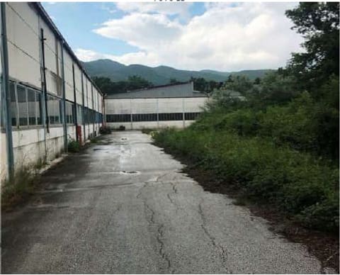 Photo of the lot 6