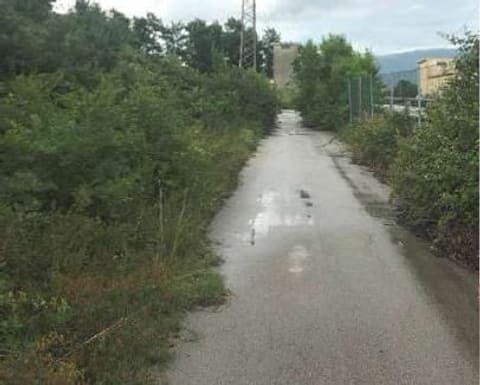 Photo of the lot 7