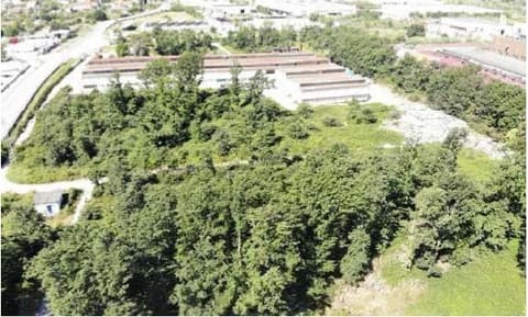 Photo of the lot 8