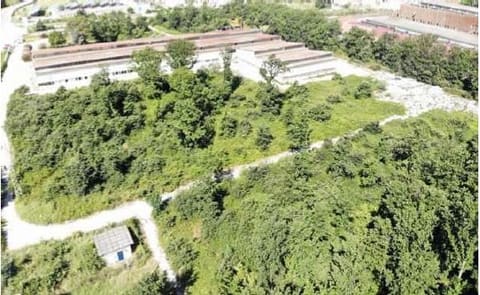 Photo of the lot 9