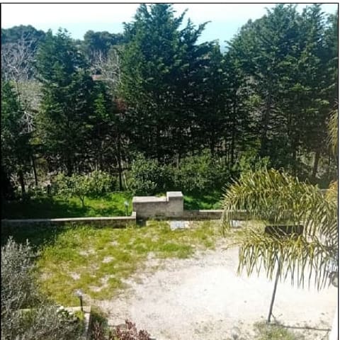 Photo of the lot 4