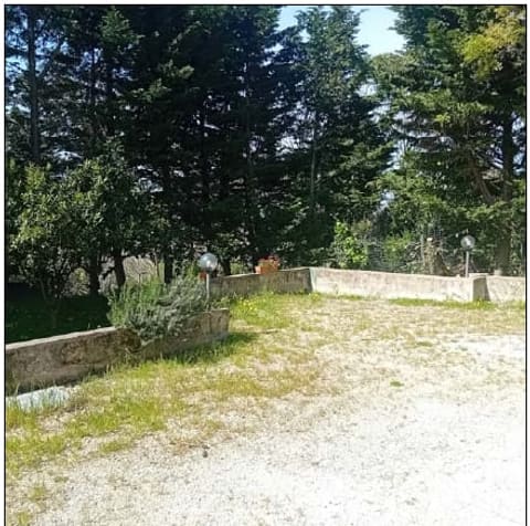 Photo of the lot 5