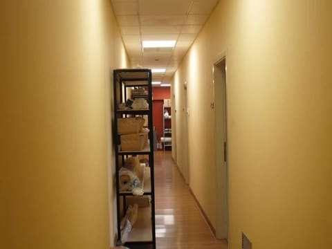 Photo of the lot 3