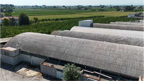 Photo of the lot 3