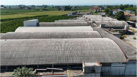 Photo of the lot 4