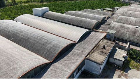Photo of the lot 6