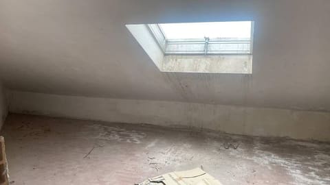 Photo of the lot 1