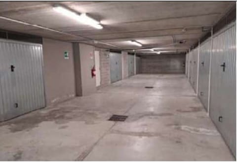 Photo of the lot 6