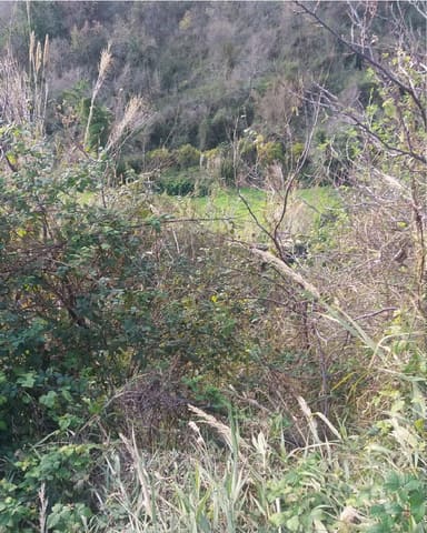 Photo: Altra categoria in Montagnareale (ME)