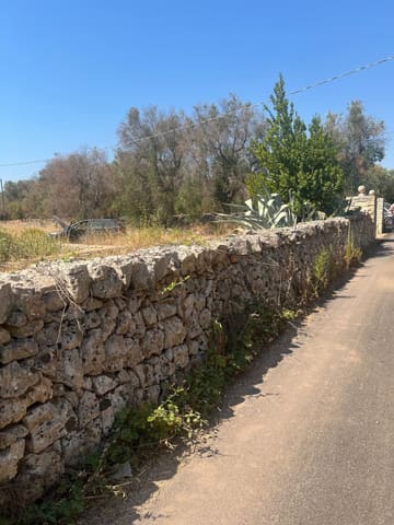 Photo: Altra categoria in Ostuni (BR)