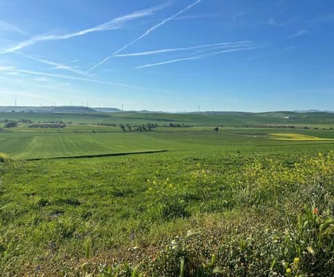 Photo: Altra categoria in Castelnuovo della Daunia (FG)