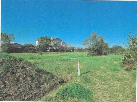 Photo: Altra categoria in Castiglione del Lago (PG)