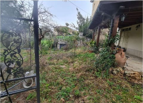 Photo of the lot 2
