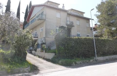 Photo of the lot 1