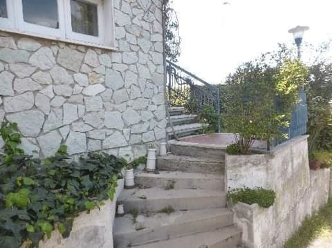 Photo of the lot 2