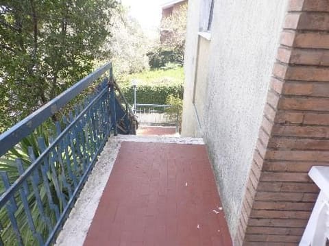 Photo of the lot 3