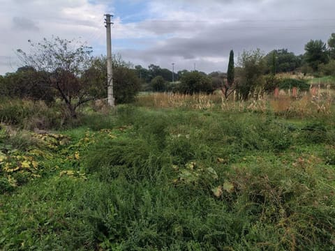 Photo: Altra categoria in Ascoli Satriano (FG)