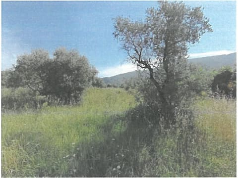 Photo: Altra categoria in Vaiano (PO)