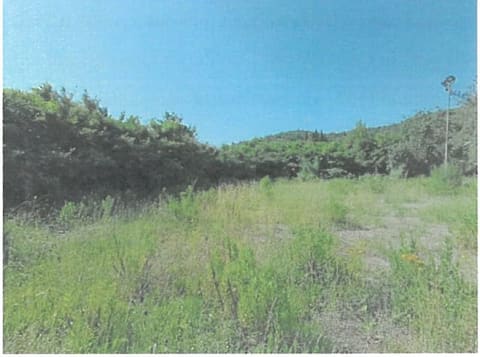 Photo of the lot 3