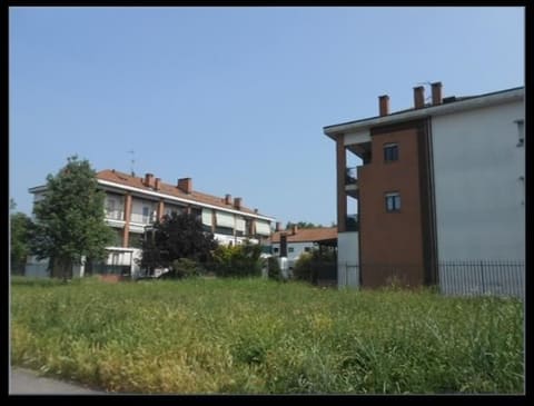 Photo of the lot 2