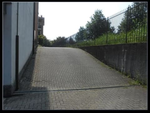 Photo of the lot 6