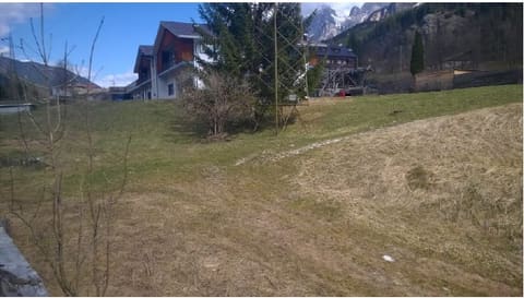 Photo of the lot 3