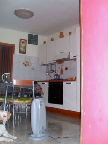 Foto del lotto 3