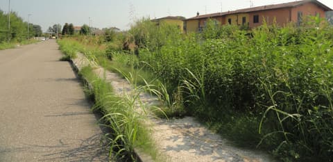 Photo: Altra categoria in Turano Lodigiano (LO)