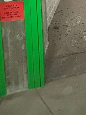 Foto del lotto 3