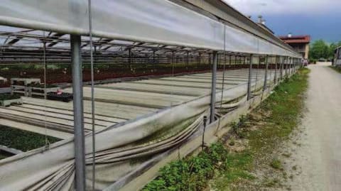 Foto: Altra categoria a Mussolente (VI)