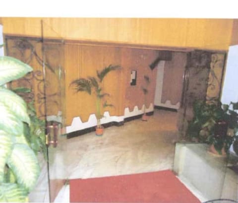 Photo of the lot 5