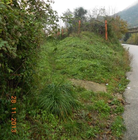 Photo of the lot 7